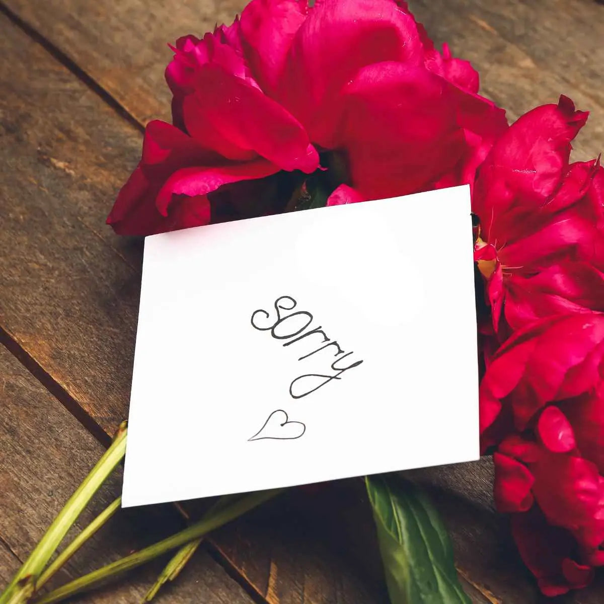 Flores para pedir perdon