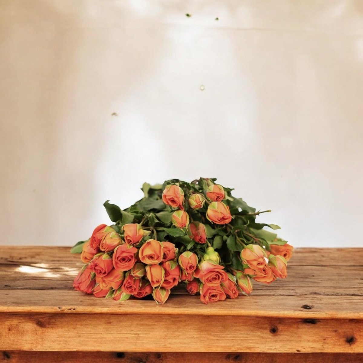 Mini Rosas naranjas frescas a domicilio en Santiago, flor ideal para ramos o arreglos florales, entrega rápida