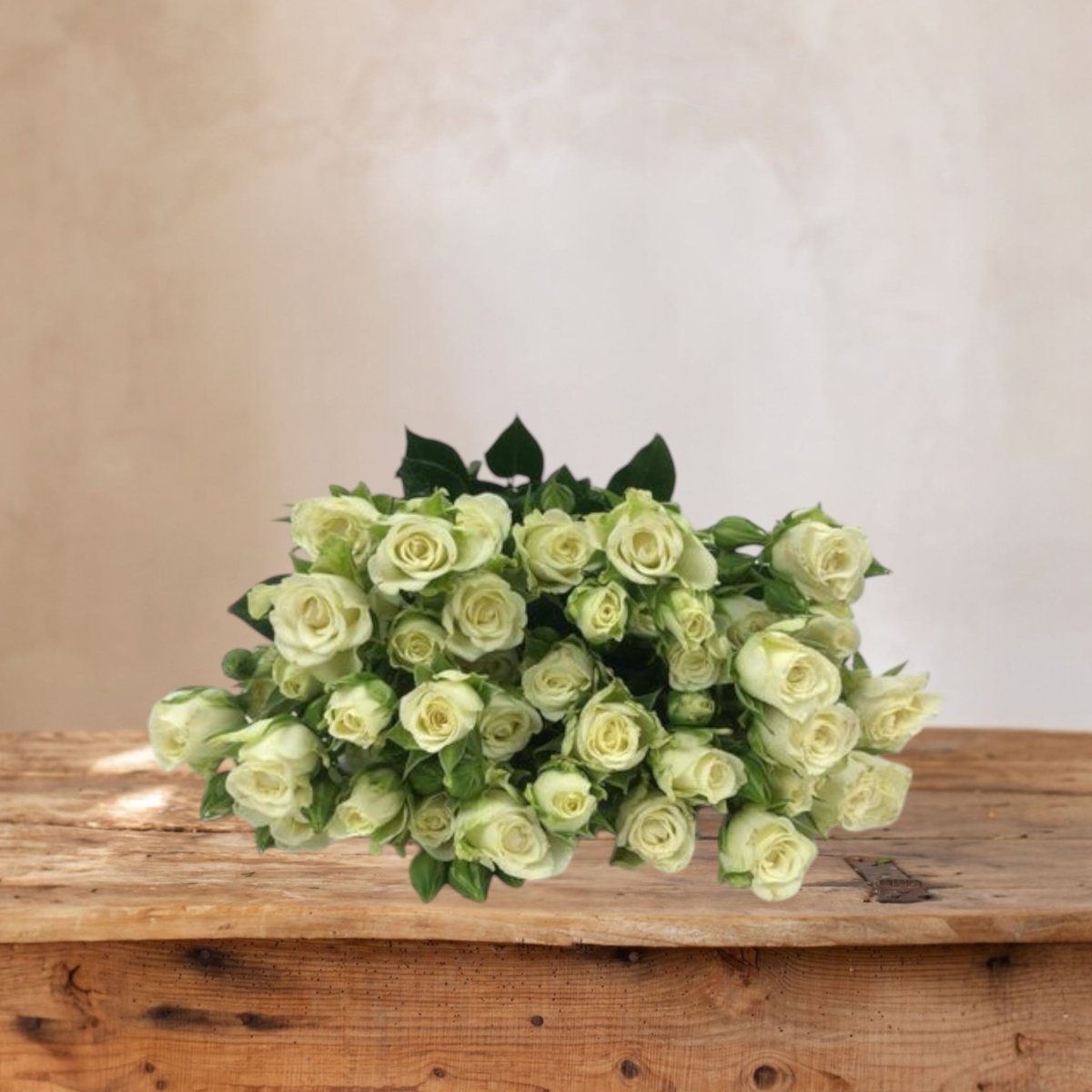 Mini Rosas blancas frescas a domicilio en Santiago, flor ideal para ramos o arreglos florales, entrega rápida