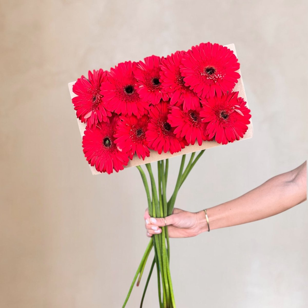 Gerberas frescas a domicilio en Santiago, flor silvestre ideal para ramos y arreglos florales, entrega rápida
