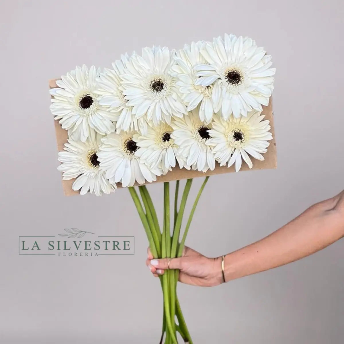 GERBERAS| Flores a domicilio | Florería La Silvestre