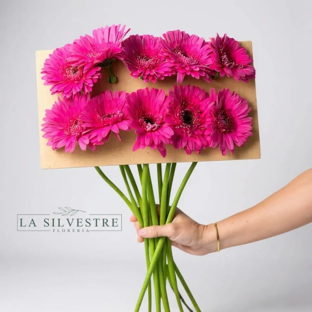 GERBERAS| Flores a domicilio | Florería La Silvestre