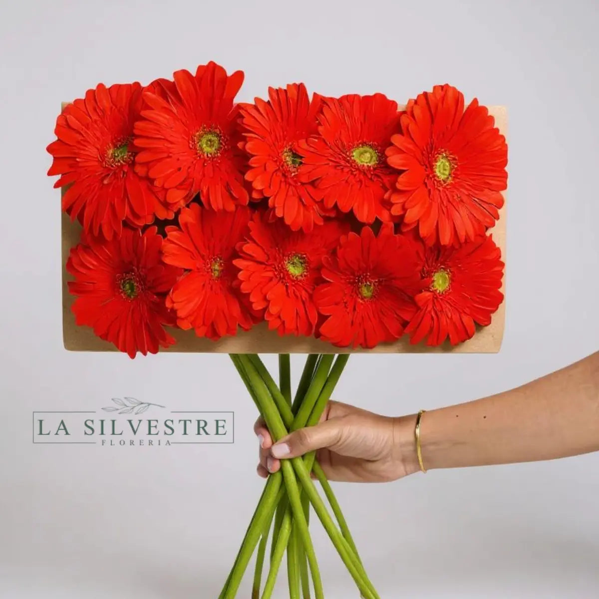 GERBERAS| Flores a domicilio | Florería La Silvestre