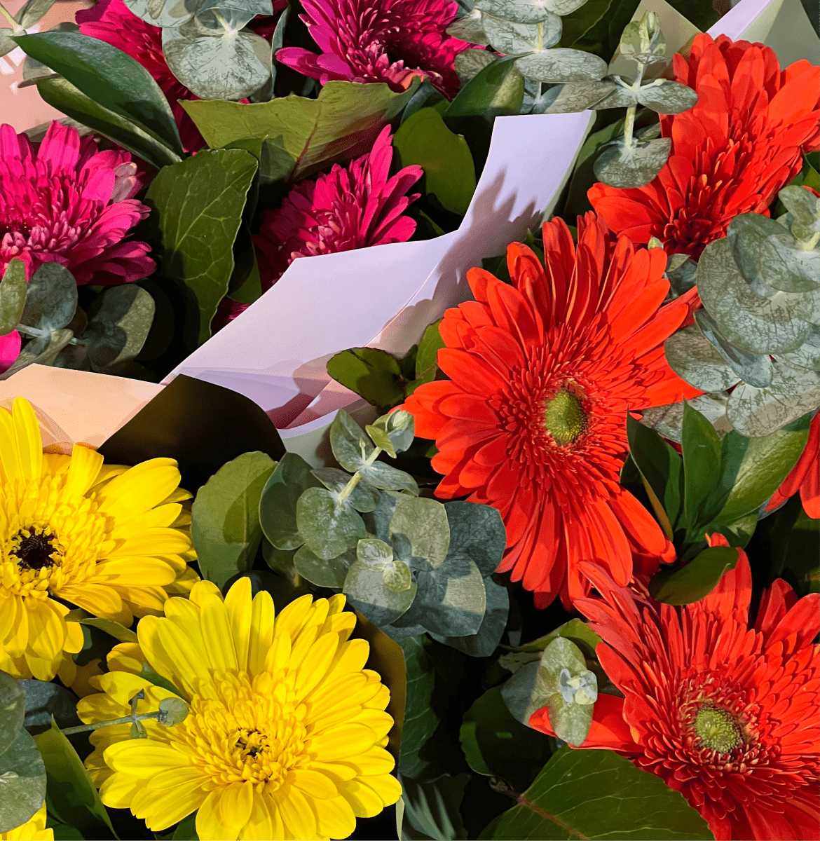Flores para aniversarios, regalos, nacimientos, condolencias, Santiago