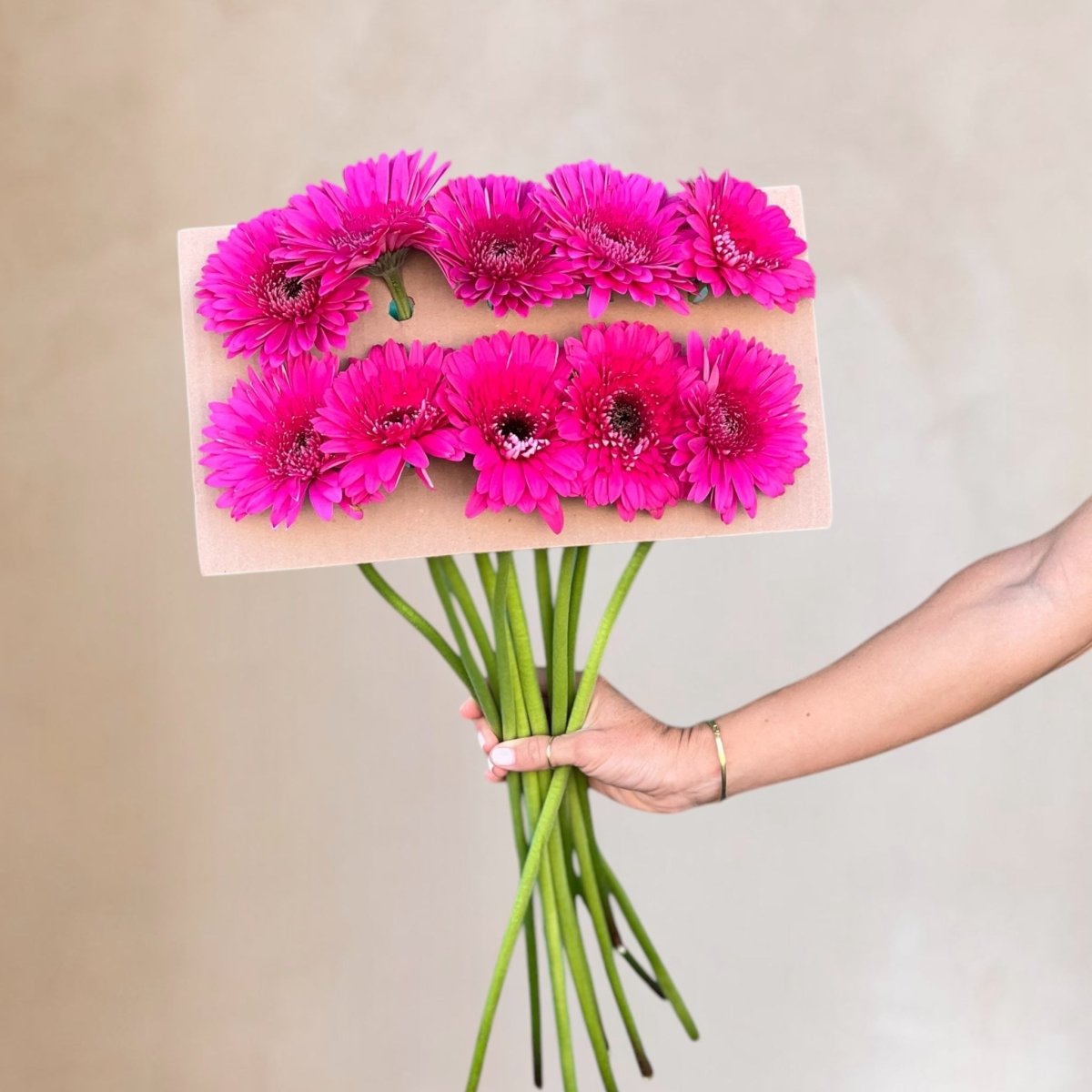 Gerberas frescas a domicilio en Santiago, flor silvestre ideal para ramos y arreglos florales, entrega rápida