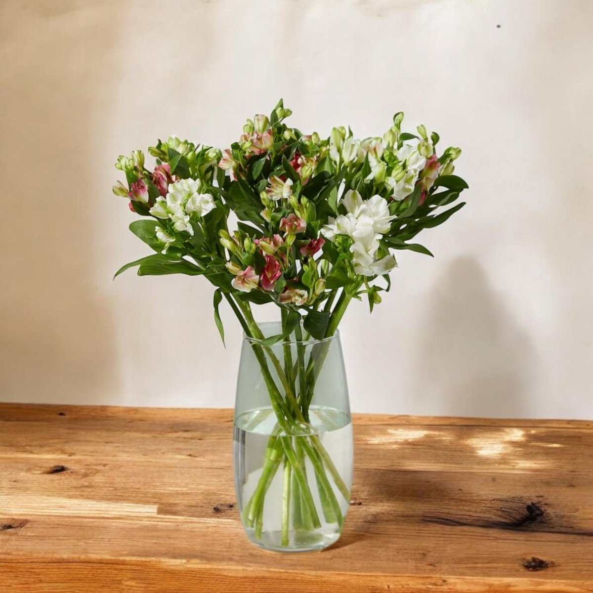 Charmelia frescas a domicilio en Santiago, flor ideal para ramos o arreglos florales, entrega rápida