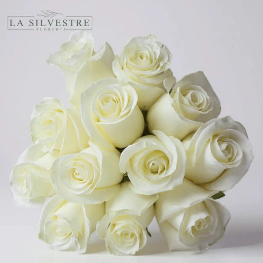 RAMO DE ROSAS BLANCAS| Flores a domicilio | Florería La Silvestre