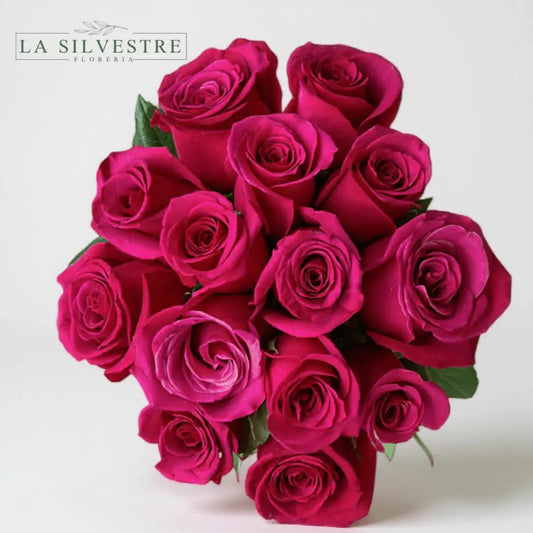 RAMO DE ROSAS FUCSIA| Flores a domicilio | Florería La Silvestre