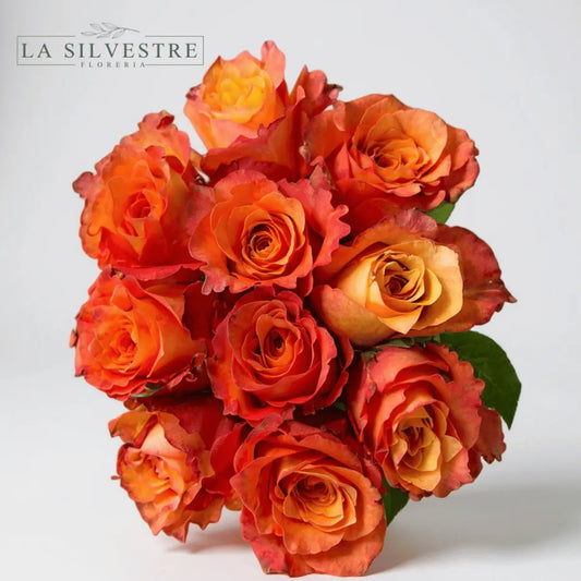 RAMO DE ROSAS NARANJAS| Flores a domicilio | Florería La Silvestre