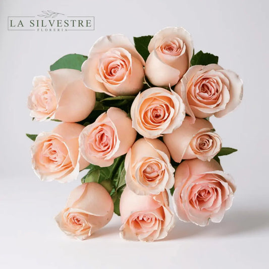 RAMO DE ROSAS ROSADAS| Flores a domicilio | Florería La Silvestre