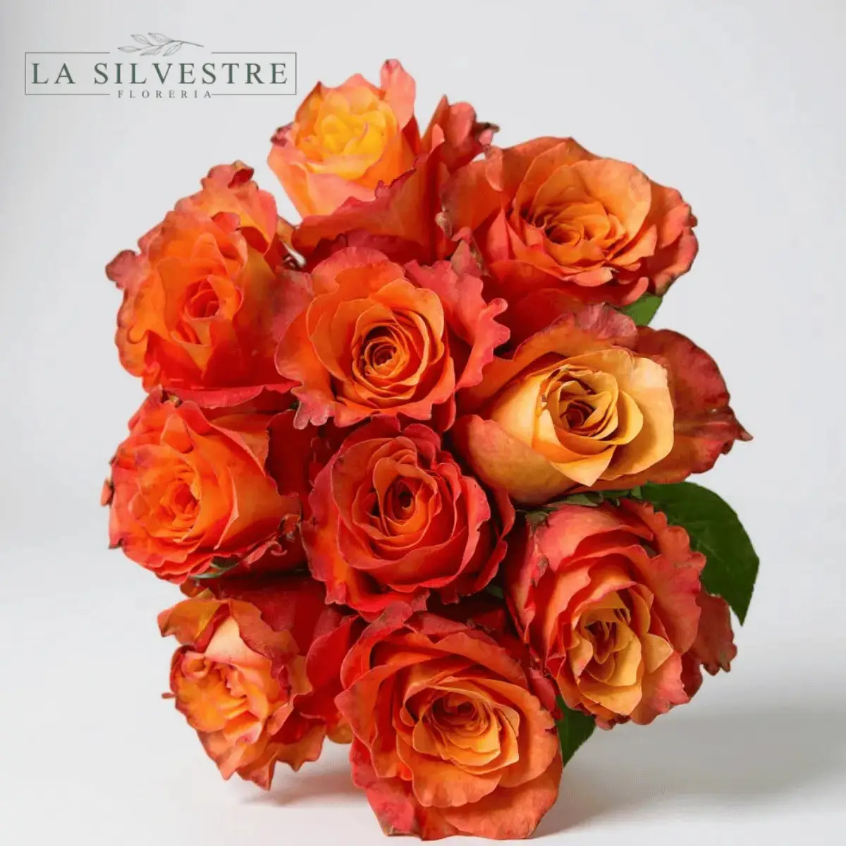 RAMO DE ROSAS NARANJAS| Flores a domicilio | Florería La Silvestre