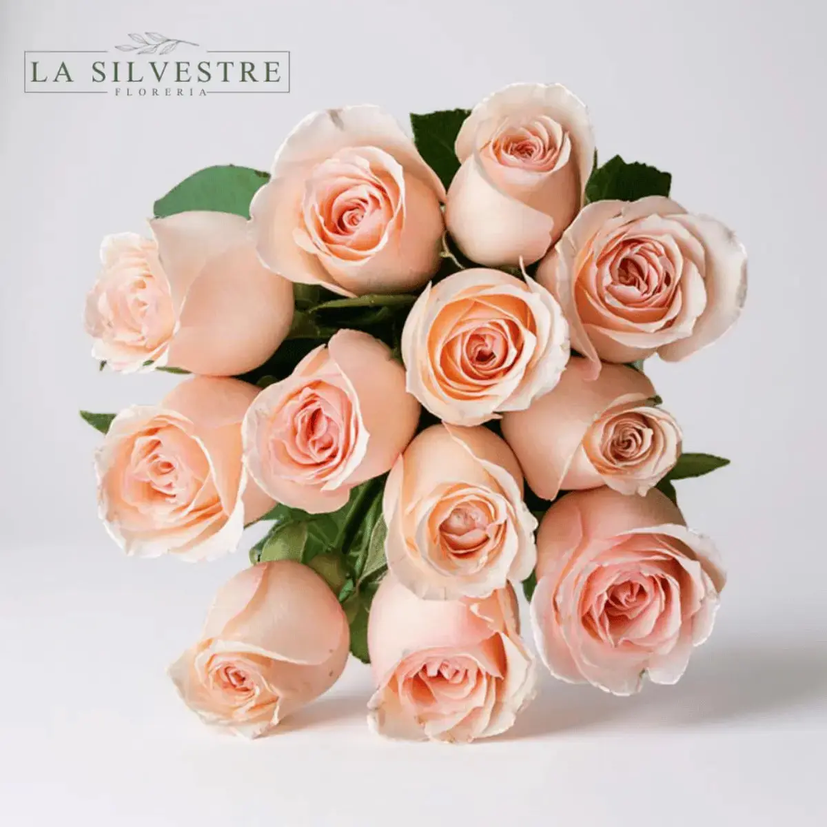 RAMO DE ROSAS ROSADAS| Flores a domicilio | Florería La Silvestre