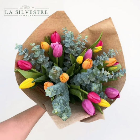RAMO DE TULIPANES| Flores a domicilio | Florería La Silvestre