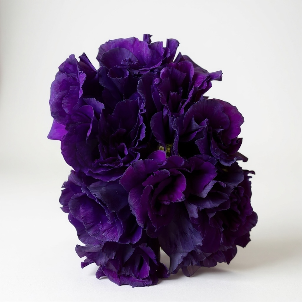 RAMO LISIANTHUS MORADOS