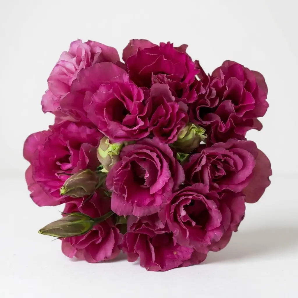 RAMO LISIANTHUS ROSADOS