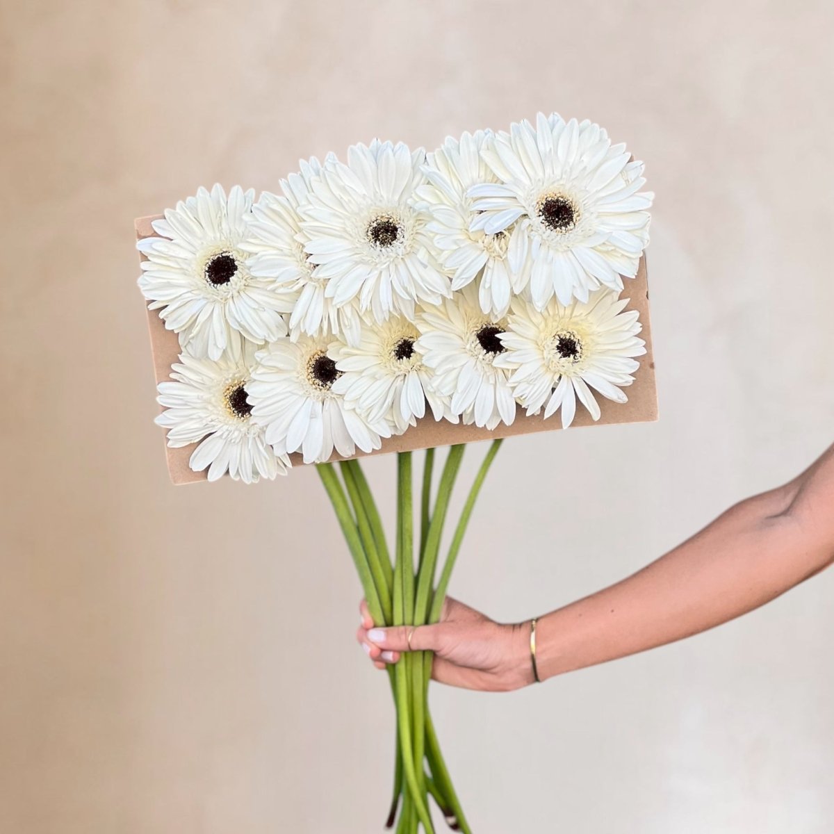 Gerberas frescas a domicilio en Santiago, flor silvestre ideal para ramos y arreglos florales, entrega rápida
