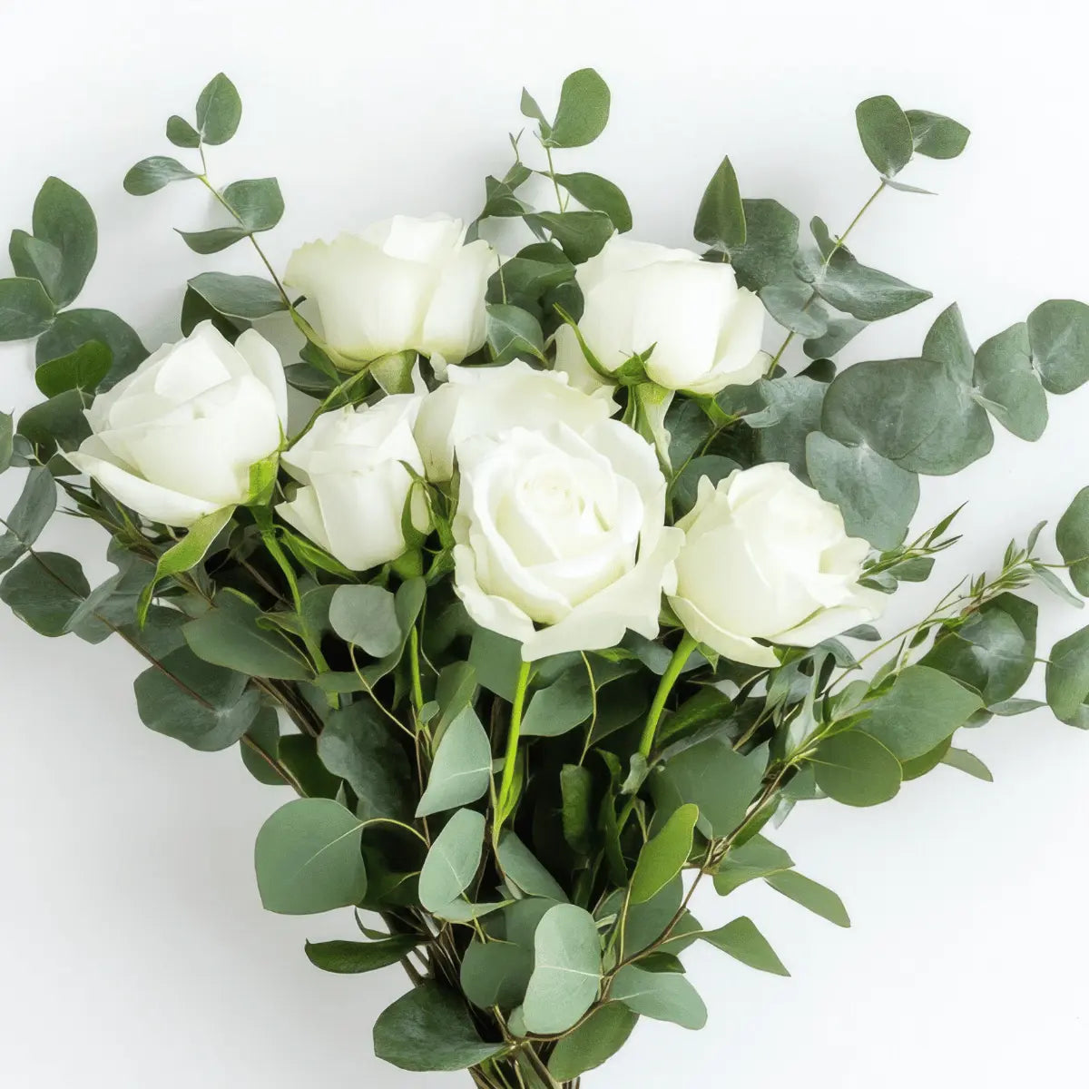 Rosas | Flores a domicilio | Florería La Silvestre