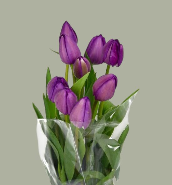 Tulipanes frescas a domicilio en Santiago, flor ideal para ramos o arreglos florales, entrega rápida