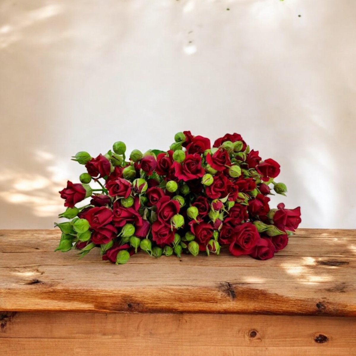 Mini Rosas rojas frescas a domicilio en Santiago, flor ideal para ramos o arreglos florales, entrega rápida