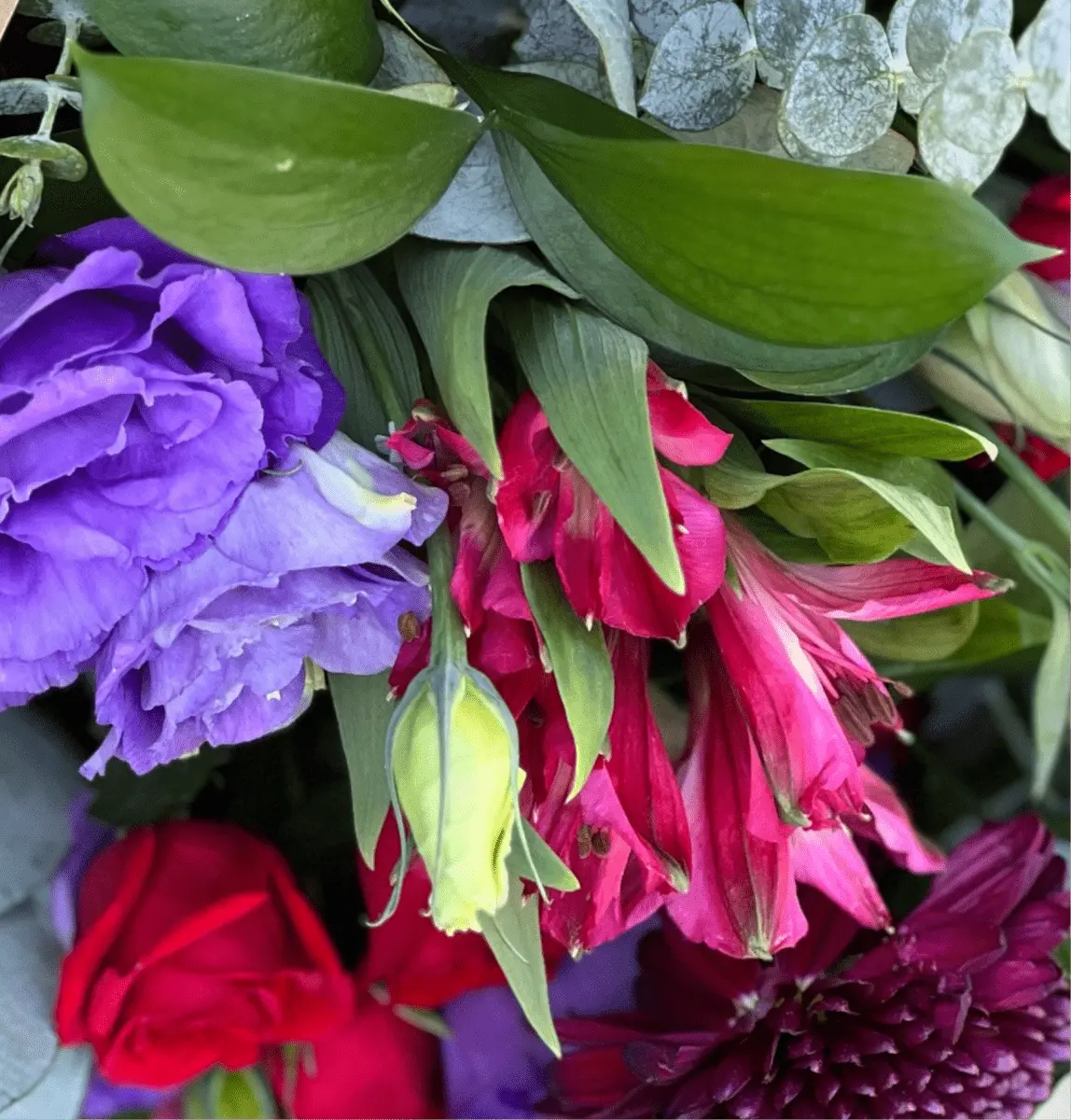   ARREGLOS FLORALES PARA CUMPLEAÑOS CARMESI| Flores a domicilio | Florería La Silvestre