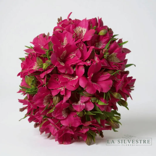   ASTROMELIAS FUCSIA| Flores a domicilio | Florería La Silvestre