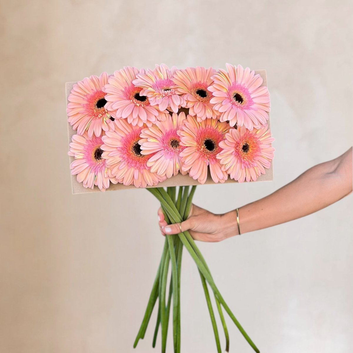 Gerberas frescas a domicilio en Santiago, flor silvestre ideal para ramos y arreglos florales, entrega rápida