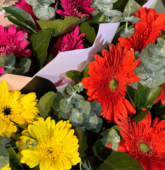 Flores para aniversarios, regalos, nacimientos, condolencias, Santiago 