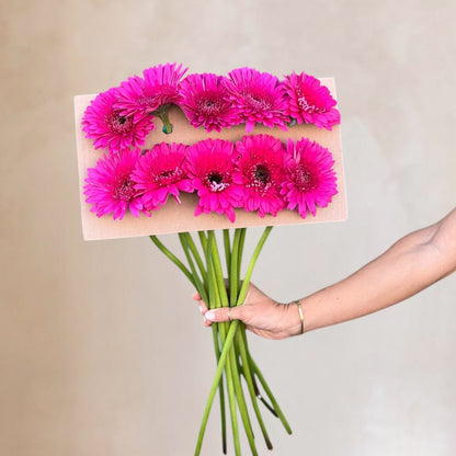 Gerberas frescas a domicilio en Santiago, flor silvestre ideal para ramos y arreglos florales, entrega rápida