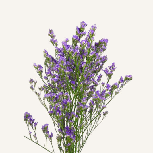 Flores a domicilio Florería La Silvestre - {{ product_title }}
