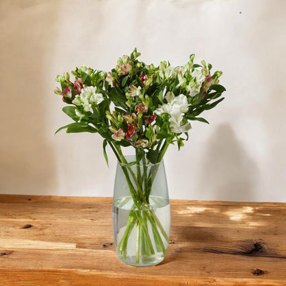 Charmelia frescas a domicilio en Santiago, flor ideal para ramos o arreglos florales, entrega rápida