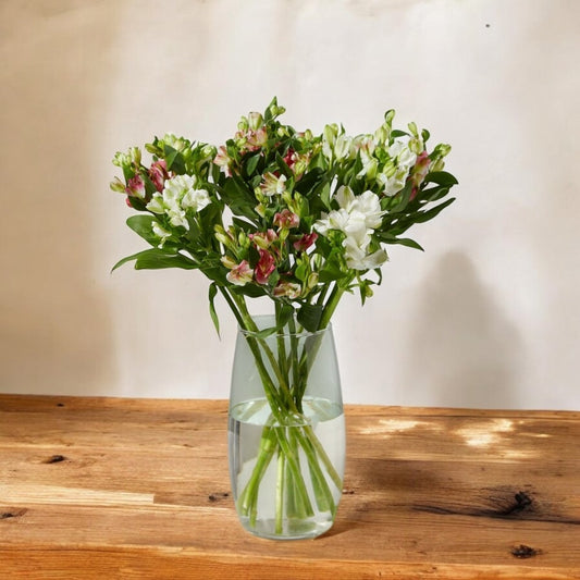 Charmelia frescas a domicilio en Santiago, flor ideal para ramos o arreglos florales, entrega rápida