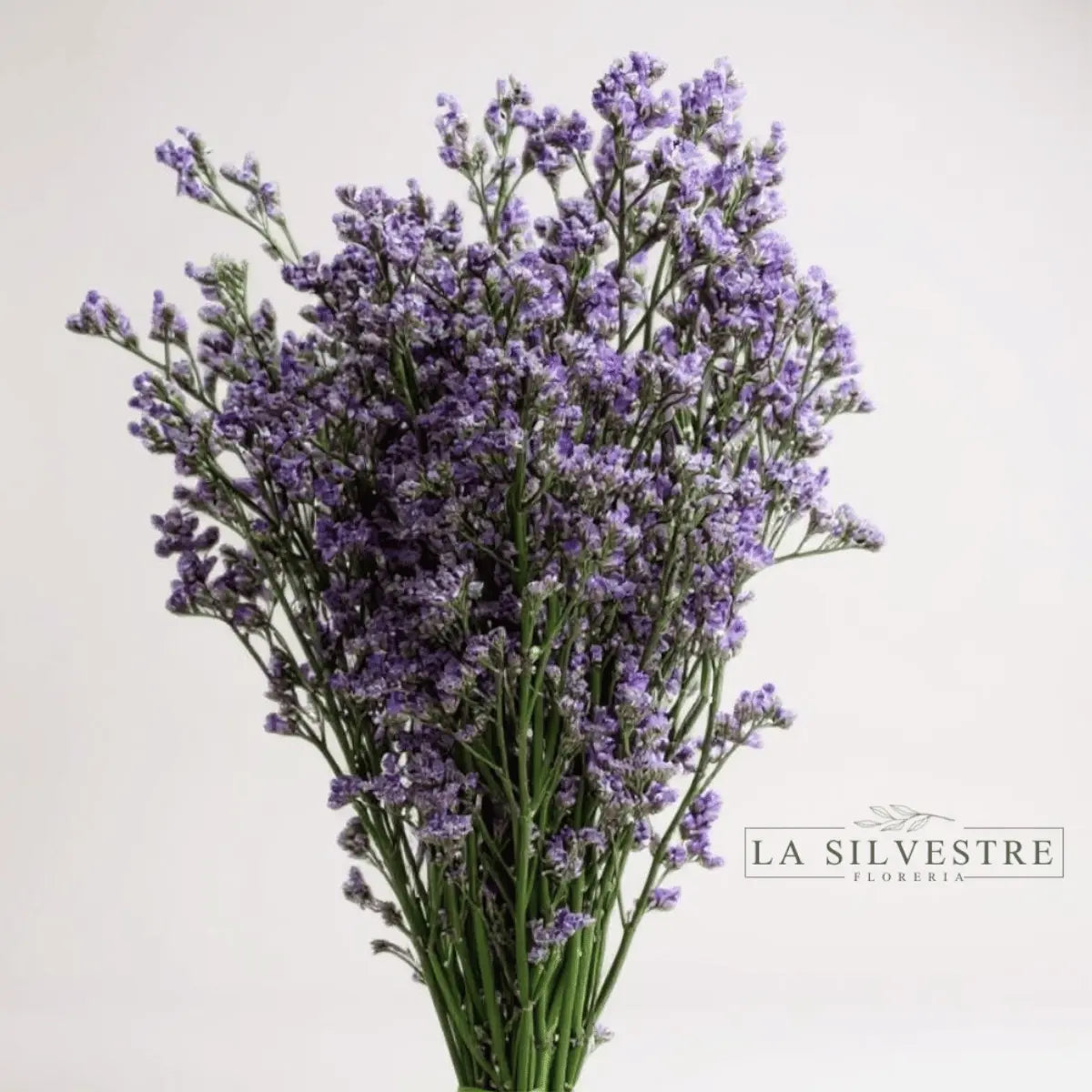   LIMONIUM| Flores a domicilio | Florería La Silvestre