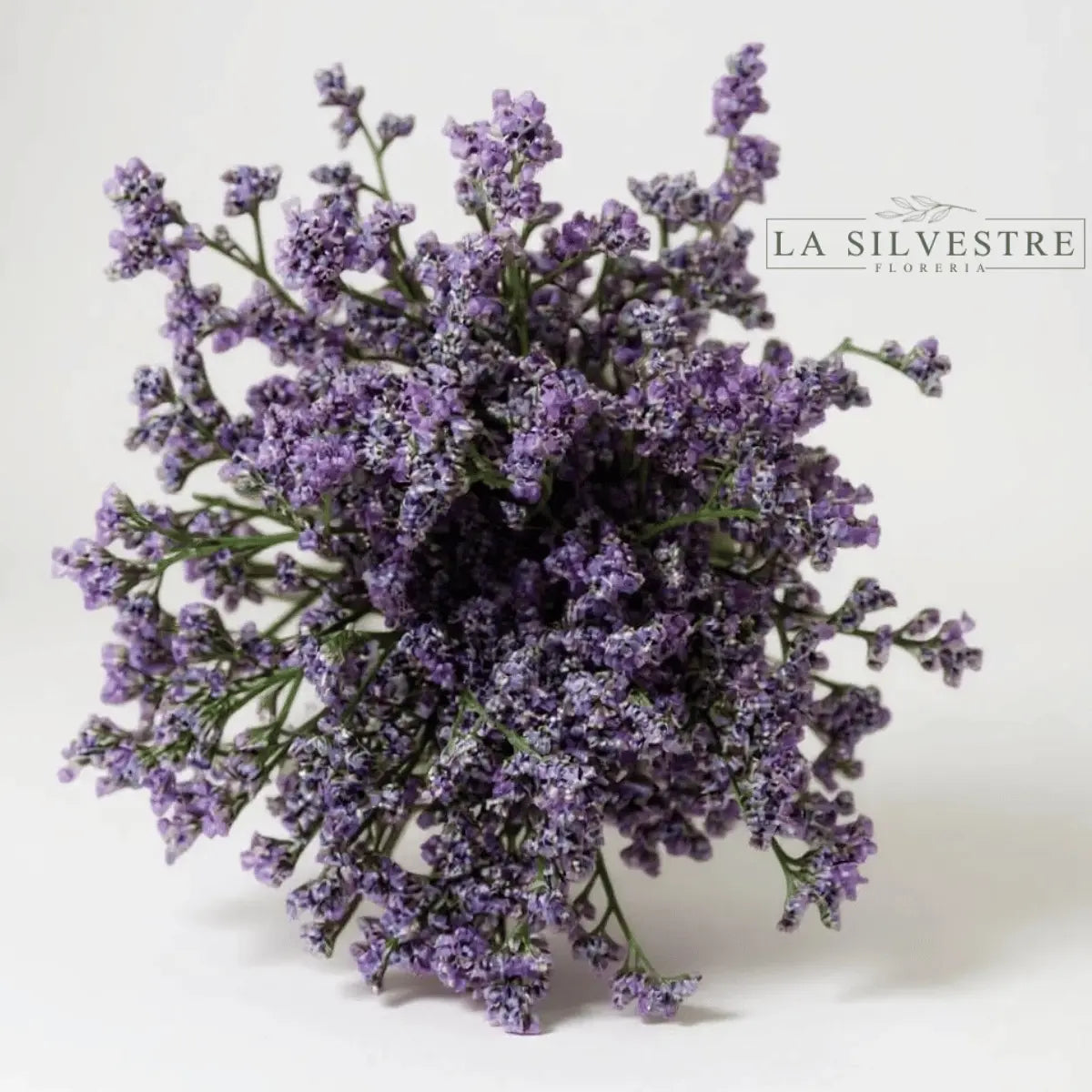   LIMONIUM| Flores a domicilio | Florería La Silvestre