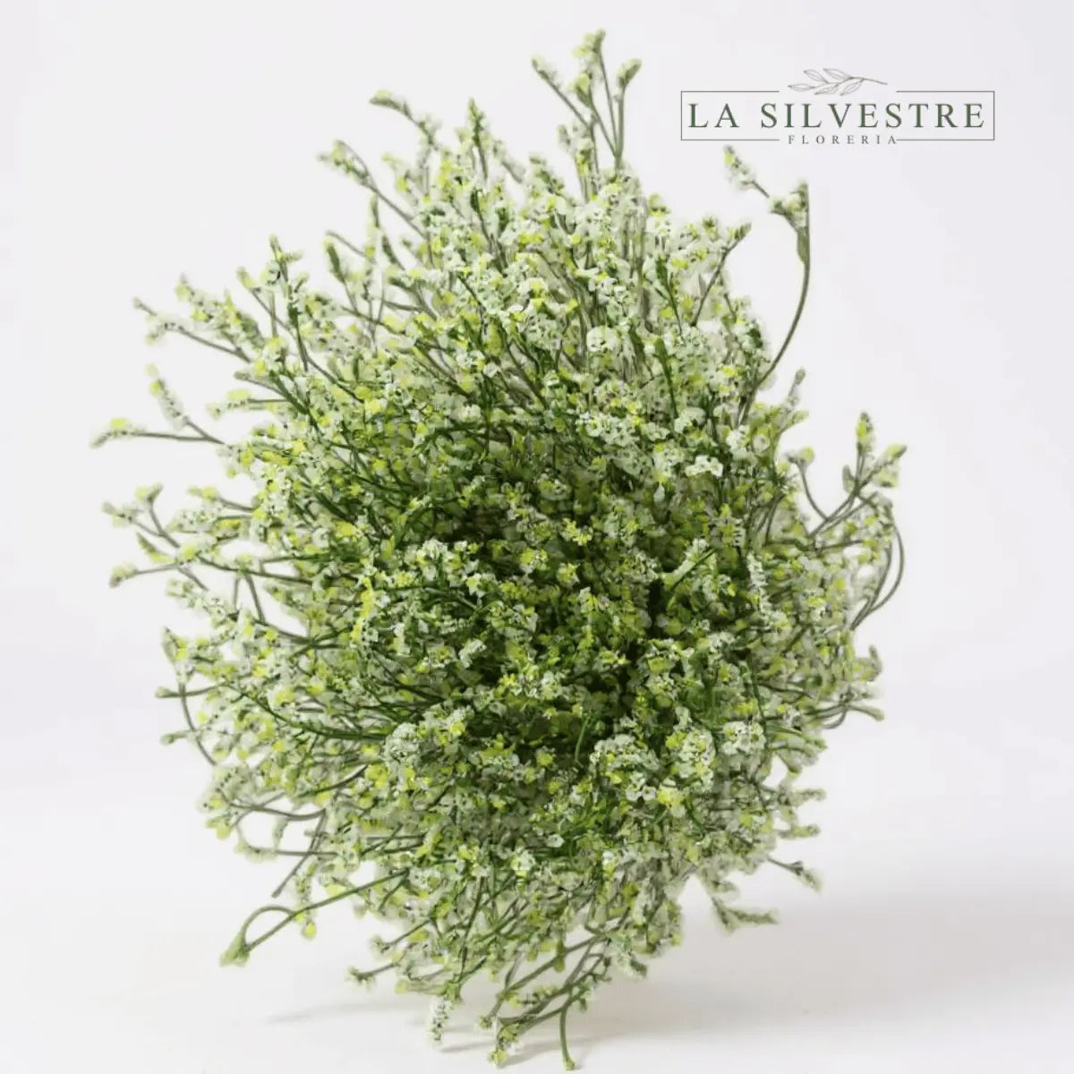   LIMONIUM| Flores a domicilio | Florería La Silvestre