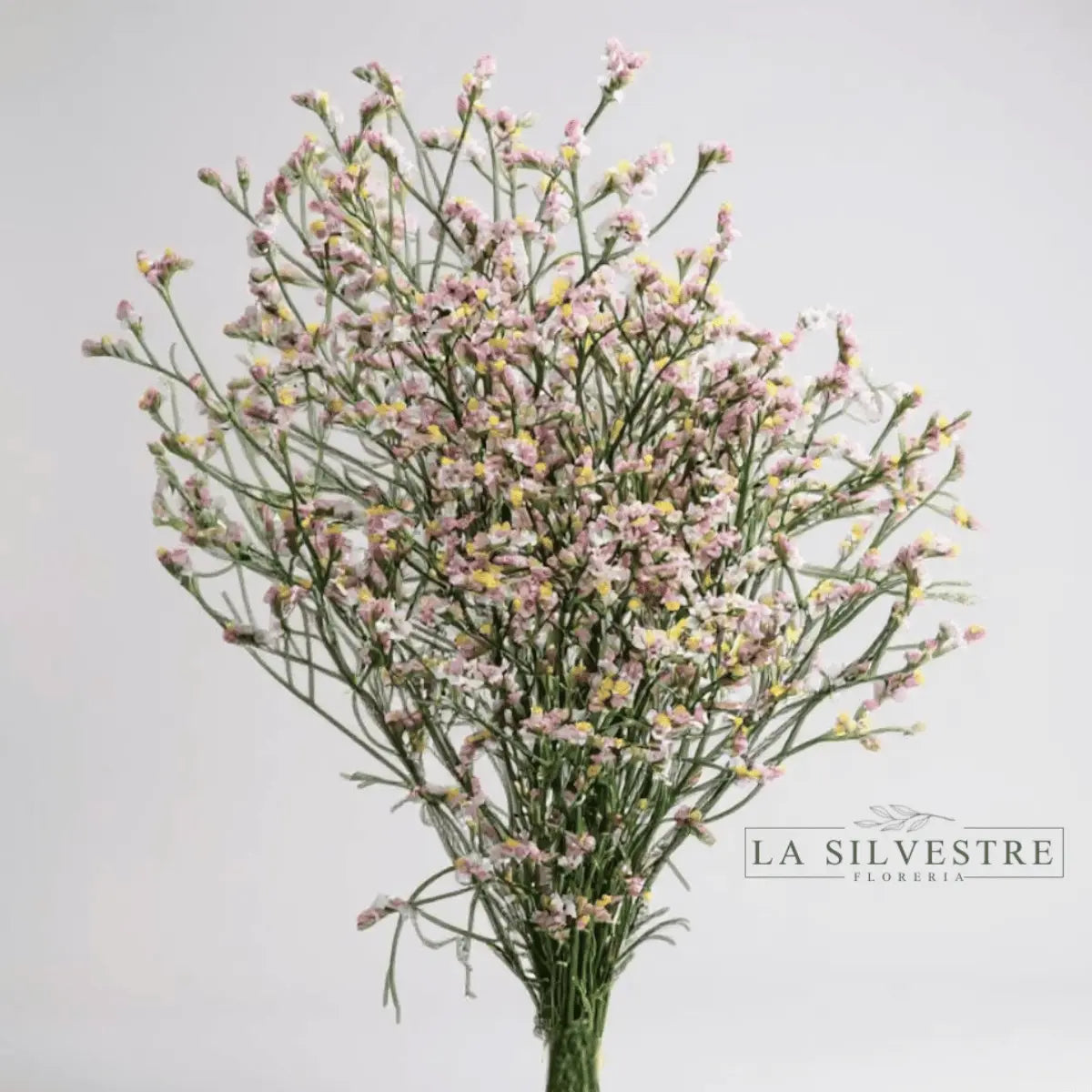   LIMONIUM| Flores a domicilio | Florería La Silvestre