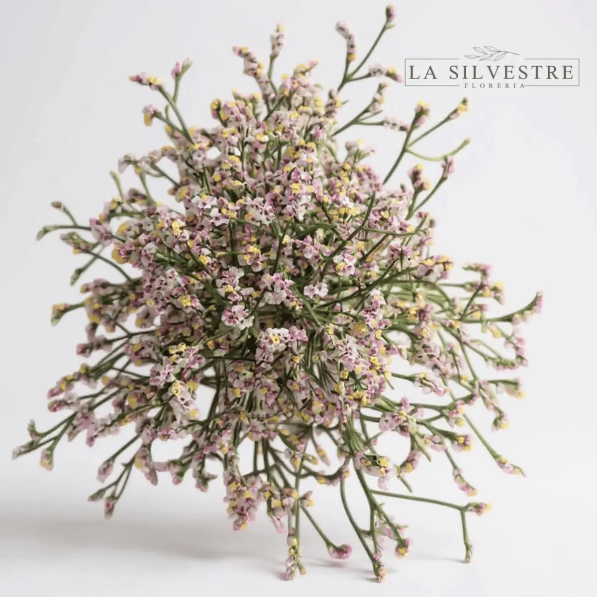   LIMONIUM| Flores a domicilio | Florería La Silvestre