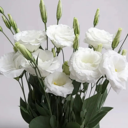 LISIANTHUS BLANCOS