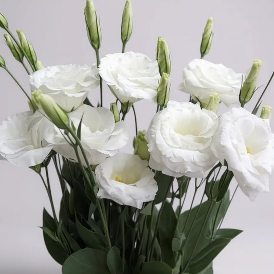 RAMO LISIANTHUS BLANCOS