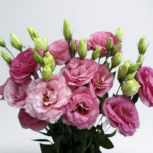 RAMO LISIANTHUS ROSADOS