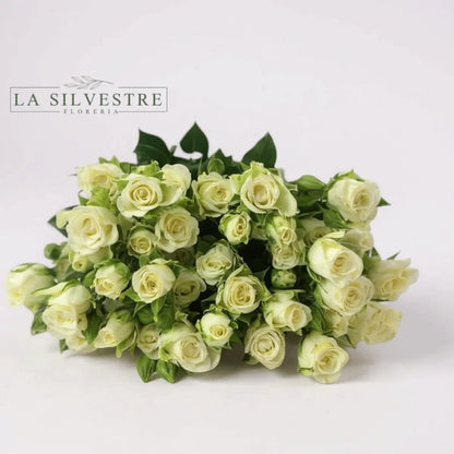   MINI ROSAS| Flores a domicilio | Florería La Silvestre