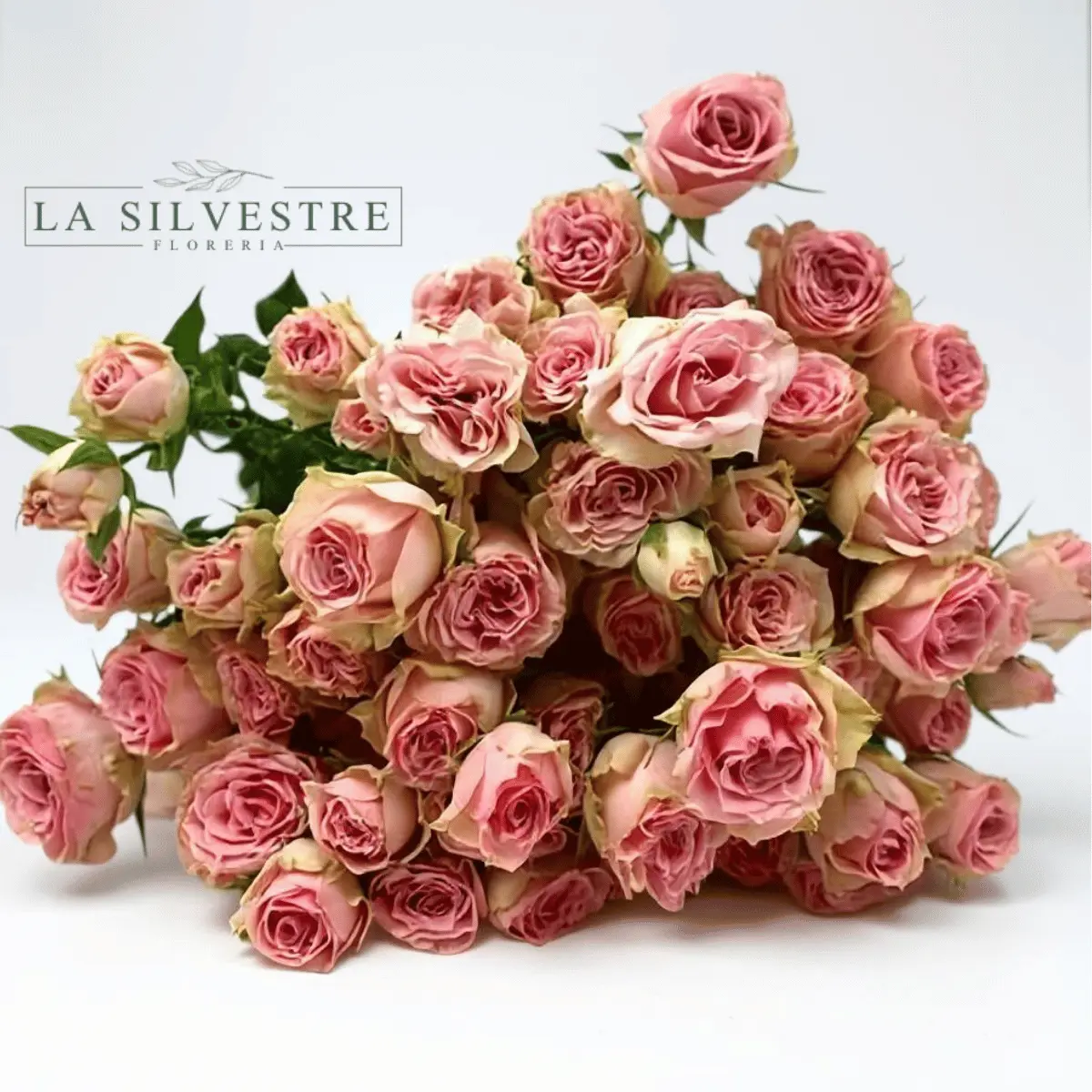   MINI ROSAS| Flores a domicilio | Florería La Silvestre