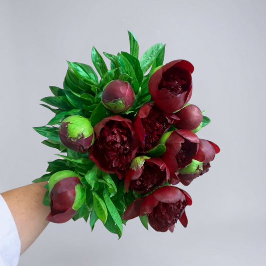 RAMO PEONIAS ROJAS