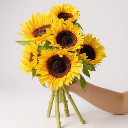 GIRASOLES