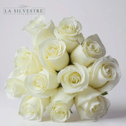   RAMO DE ROSAS BLANCAS| Flores a domicilio | Florería La Silvestre