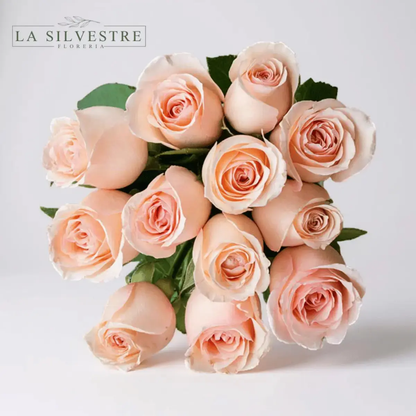   RAMO DE ROSAS ROSADAS| Flores a domicilio | Florería La Silvestre