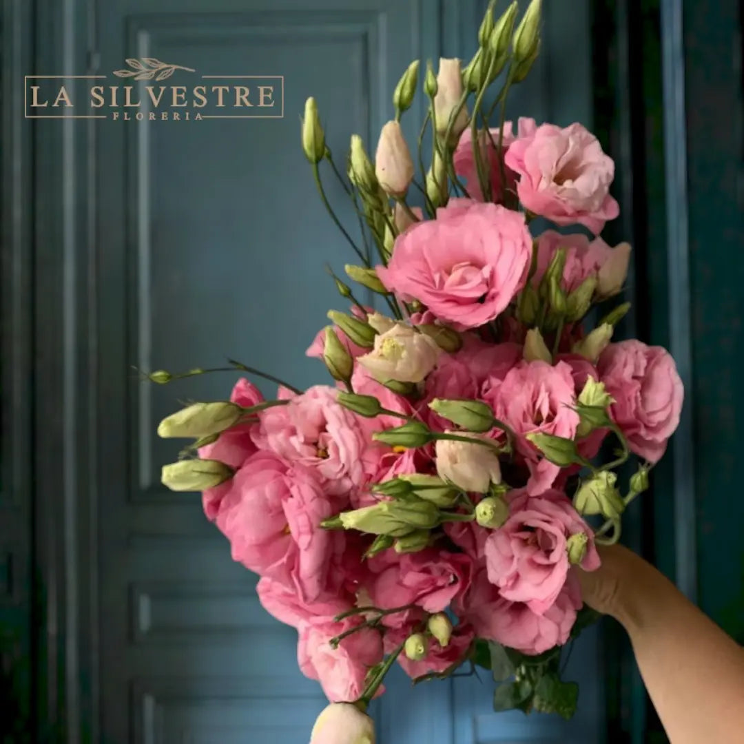 LISIANTHUS ROSADOS