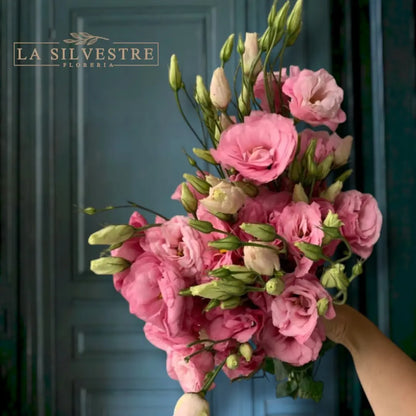 LISIANTHUS ROSADOS
