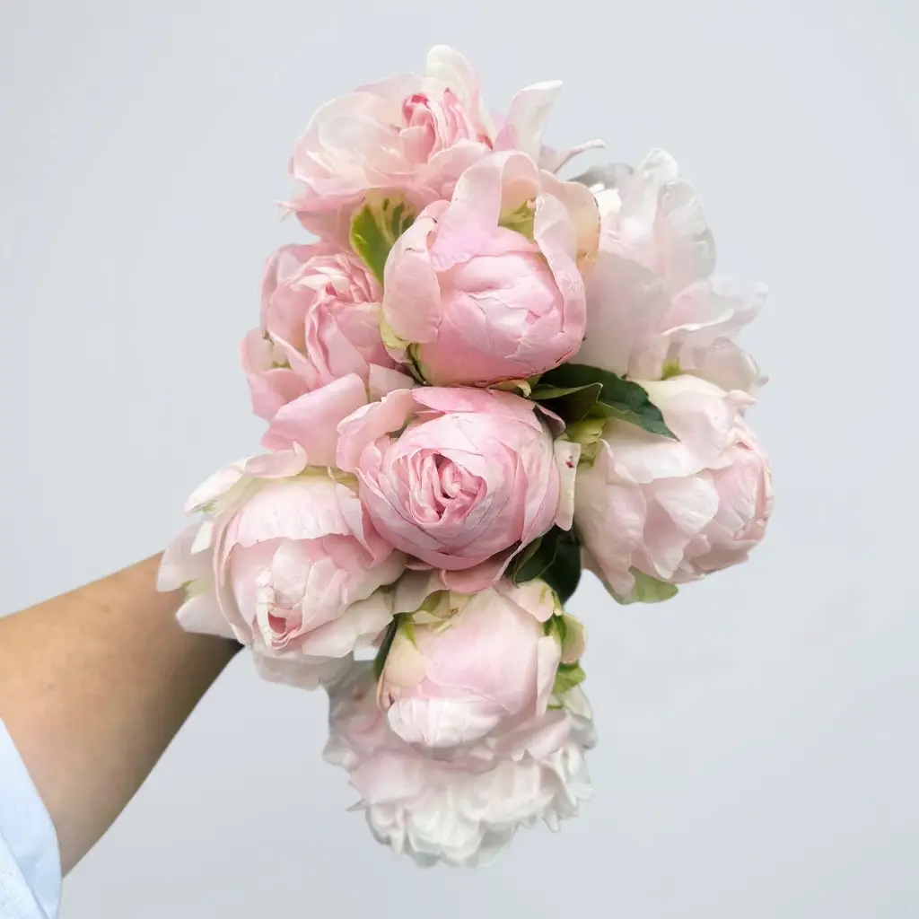 RAMO PEONIAS ROSADAS