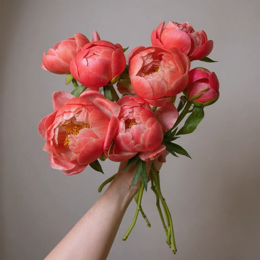 PEONIAS ROSAS RAMO CORAL CHARM