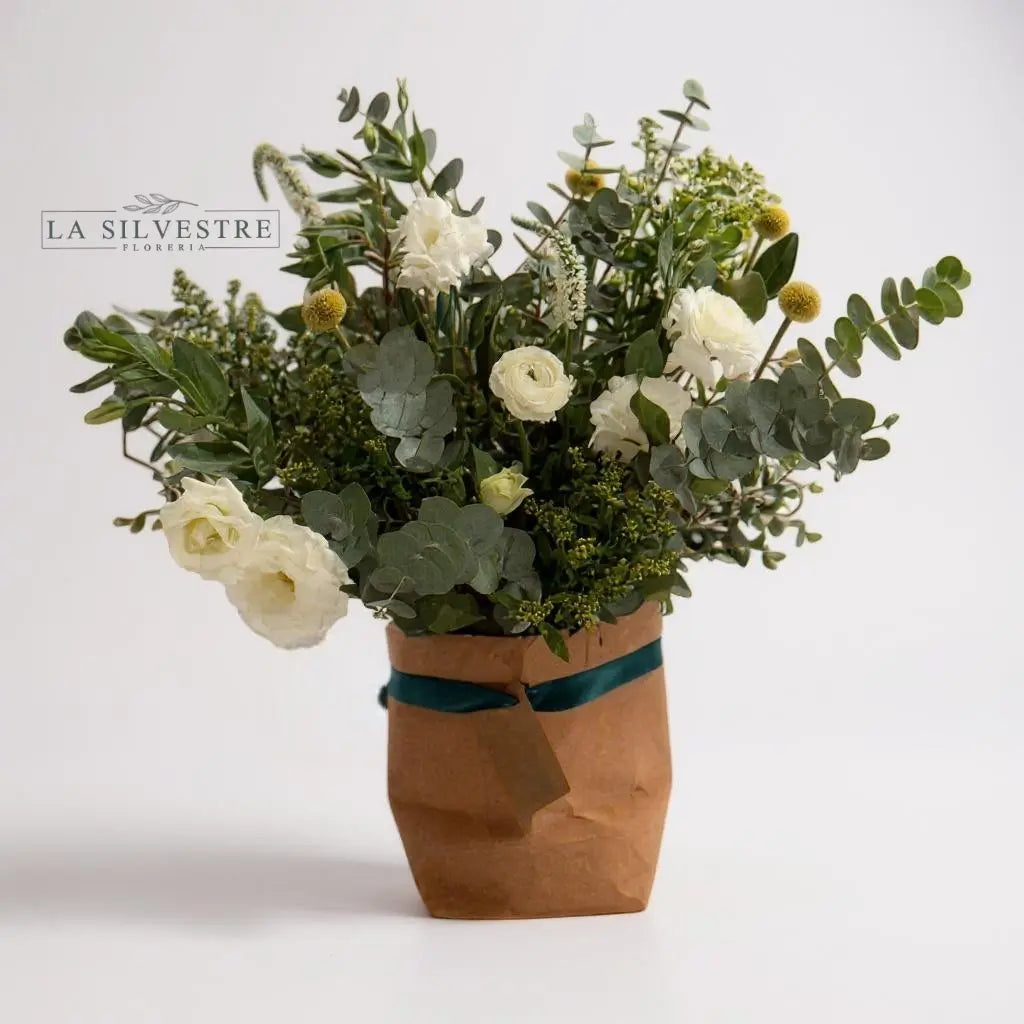 Flores a domicilio | Florería La Silvestre | SACO ALBA